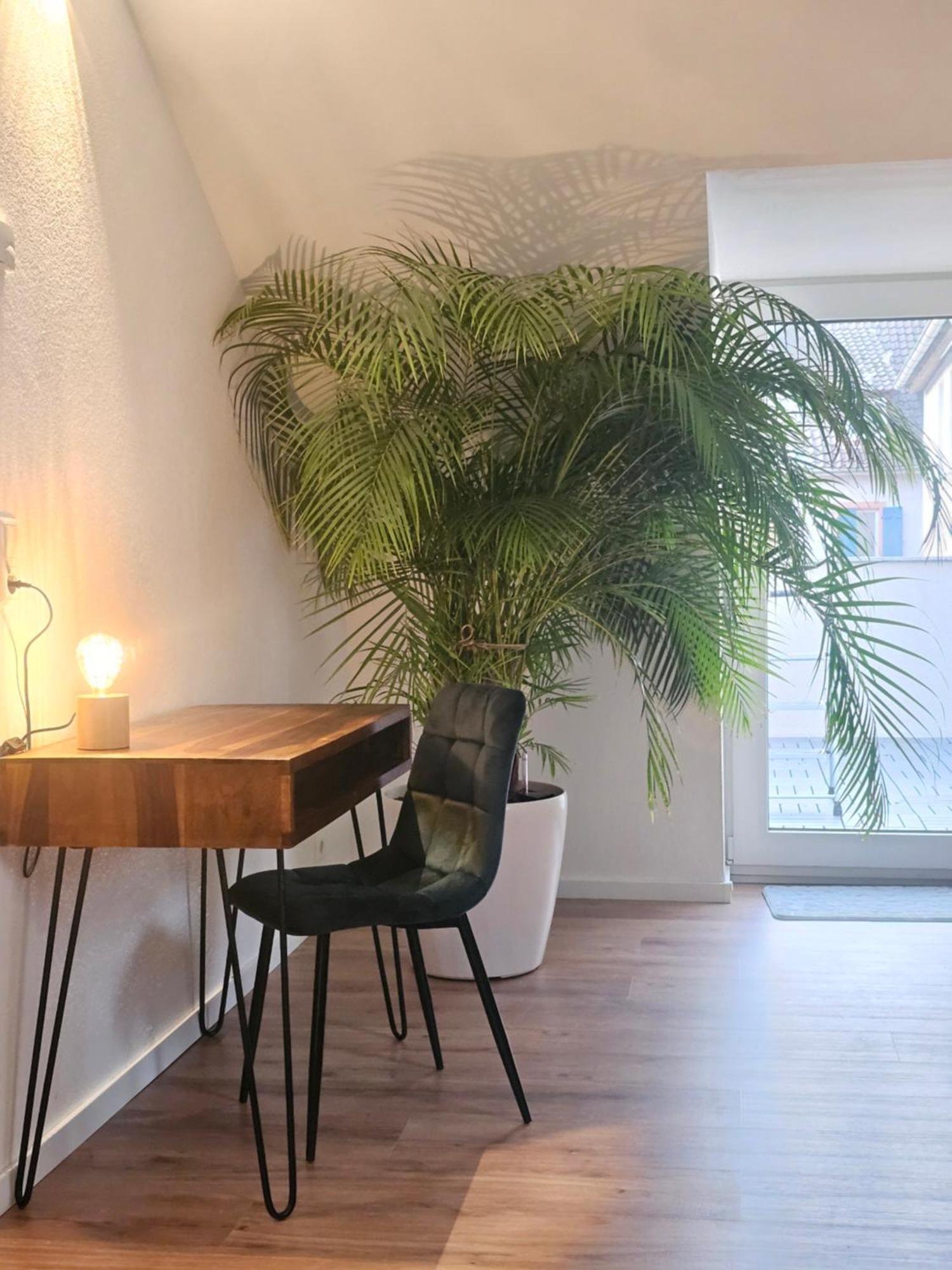ラールDesign-Penthouse I 90Qm I Europapark 20 Min I Boxspring I Nespresso I Parkingアパートメント エクステリア 写真